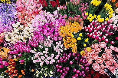 卡普空正在征求玩家对《龙之信条2》DLC的意见